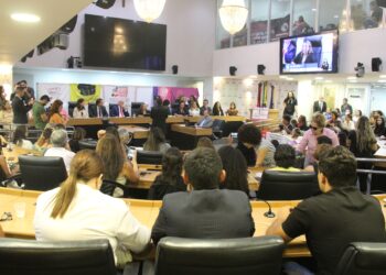 Comissão dos Direitos da Mulher da ALPB debate violência obstétrica na Paraíba