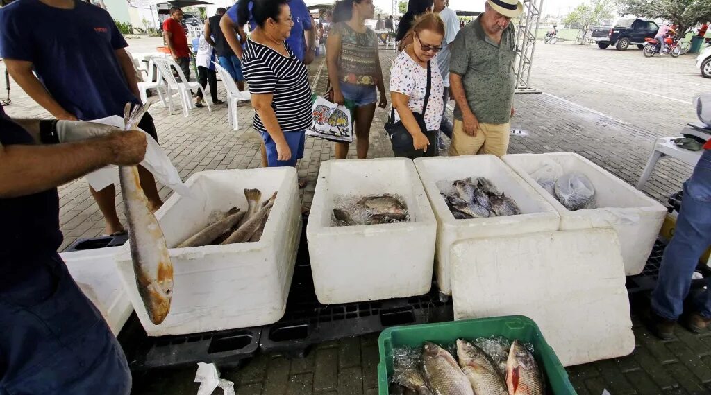 Prefeitura promove Semana do Pescado e garante preços acessíveis na Cecaf