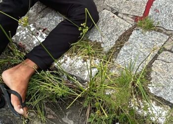 Homem é morto a tiros enquanto aguardava filho na calçada de escola em Mangabeira