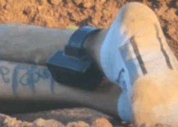 Homem com tornozeleira eletrônica é assassinado com cerca de 50 tiros no Colinas do Sul