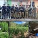 Plantio com cerca de 10 mil pés de maconha é encontrado no Sertão do Estado