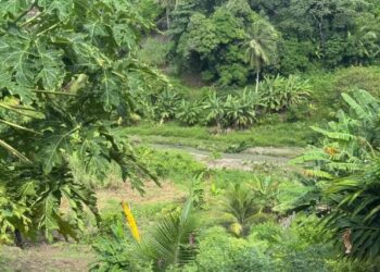Corpo de homem sugado por galeria pluvial é encontrado a dois mil metros de distância, em João Pessoa