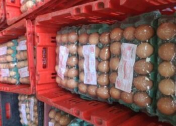 Polícia Civil flagra mais de mil caixas de ovos com rótulos falsos na PB; suspeito é preso