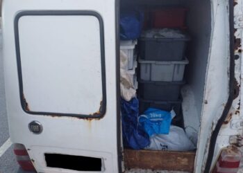 420 kg de camarão sem nota fiscal na BR-101 são apreendidos, em Mamanguape