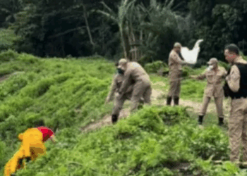 Corpo de homem é encontrado boiando no Rio Jaguaribe, em João Pessoa