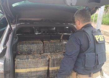 PRF apreende quase 185 kg de maconha, no município de Mamanguape