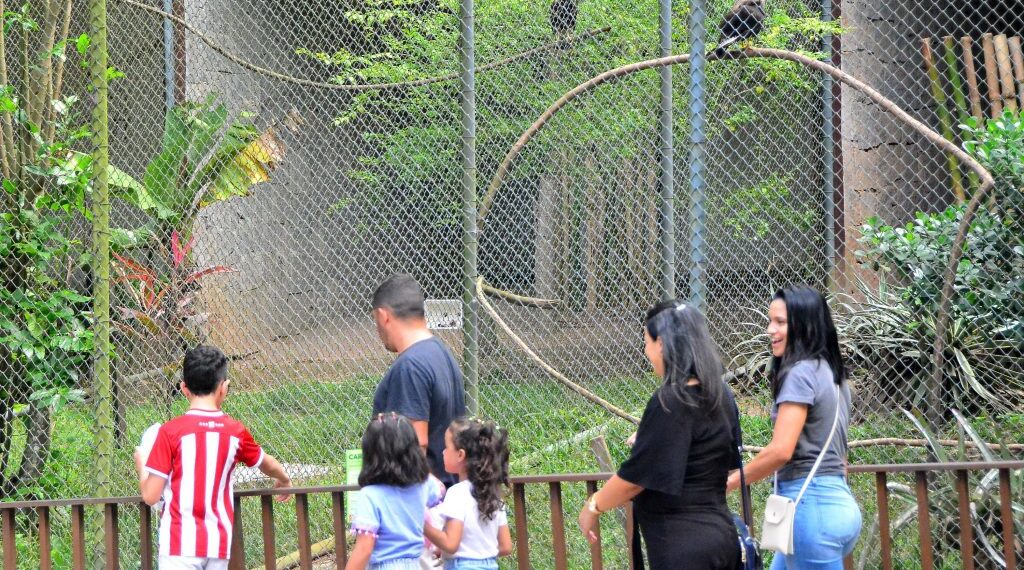 Fluminense vence Inter de Milão e avança na Copa do Mundo de Clubes