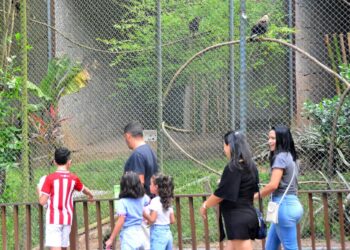 Fluminense vence Inter de Milão e avança na Copa do Mundo de Clubes