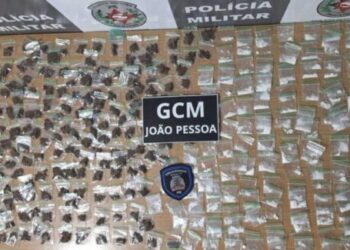 Quase 400 papelotes de drogas são apreendidos na Praça da Paz em João Pessoa
