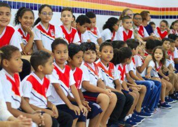 Educação: confira destaques no primeiro semestre de 2025