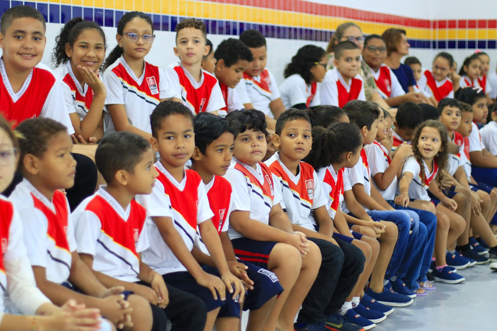 Educação: confira destaques no primeiro semestre de 2025