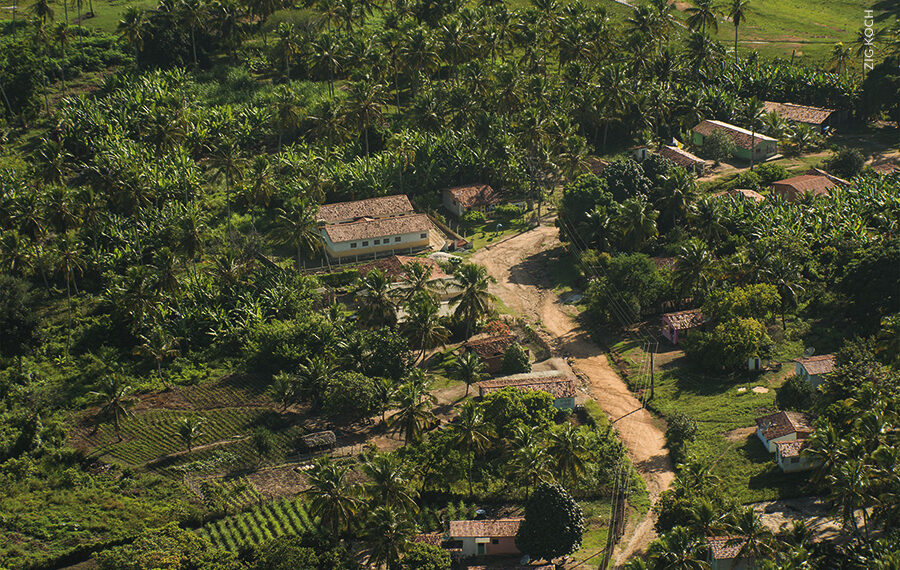 Censo IBGE: Quase 33 mil pessoas vivem em áreas de conservação na Paraíba