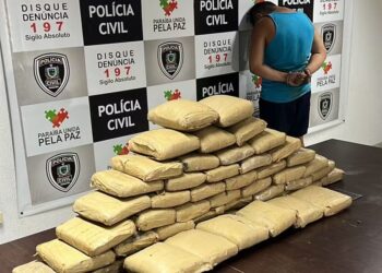 Homem é preso com 50 kg de maconha colombiana em rodovia de Bayeux, na Grande João Pessoa
