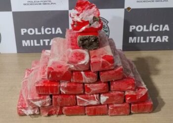 Polícia encontra 20 quilos de droga enterrados em terreno no Cristo