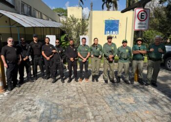 Operação combate crimes ambientais na Baía da Traição