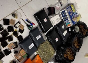 Polícia Militar apreende mais de R$ 500 mil em drogas durante operação, em Mangabeira