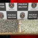 BPTran apreende grande quantidade de drogas e prende suspeito em João Pessoa