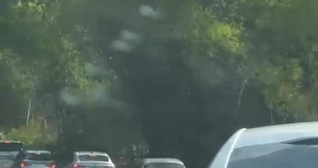 Incêndio de grande proporção atinge bambuzal em rodovia que dá acesso a Lucena, na PB