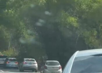 Incêndio de grande proporção atinge bambuzal em rodovia que dá acesso a Lucena, na PB