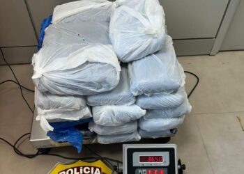 Mulher é presa pela PF com 36 kg de maconha no Aeroporto de João Pessoa