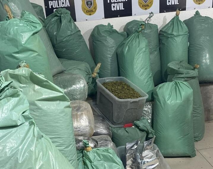 PM apreende quase meia tonelada de maconha durante operação em João Pessoa e Bayeux