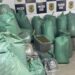 PM apreende quase meia tonelada de maconha durante operação em João Pessoa e Bayeux