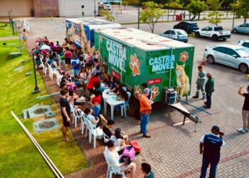 Prefeitura de João Pessoa oferta mais 200 vagas para castração de gatos no bairro de Mangabeira