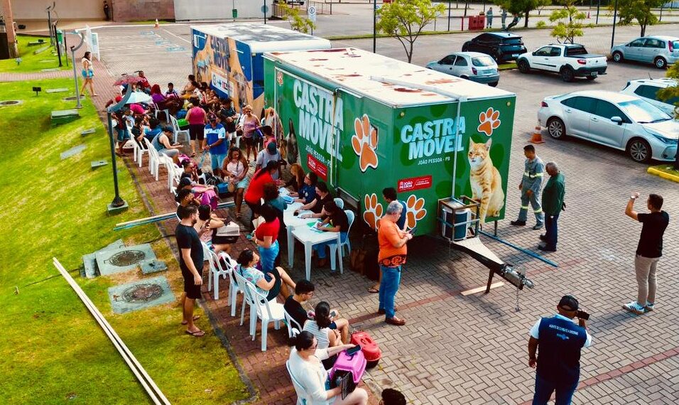 Prefeitura de João Pessoa oferta mais 200 vagas para castração de gatos no bairro de Mangabeira