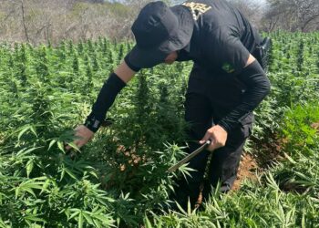 ALPB entrega título de cidadã paraibana à promotora de Justiça, Fabiana Alves Mueller