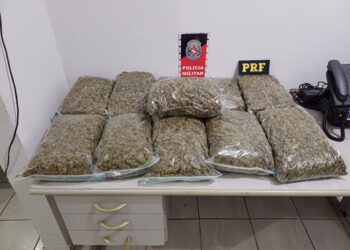 PRF apreende 16 kg de drogas e 6 pessoas são presas no fim de semana em rodovias da PB