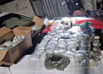 Polícia Militar apreende grande quantidade de drogas em construção abandonada, no bairro Treze de Maio