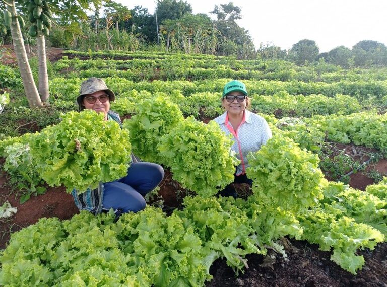AGORA É LEI: Escolas e hospitais públicos terão refeições com alimentos orgânicos