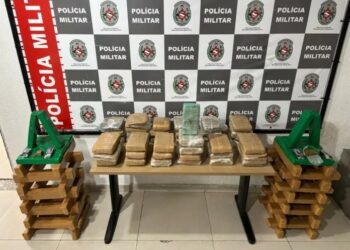 100 quilos de drogas são apreendidos em Mangabeira