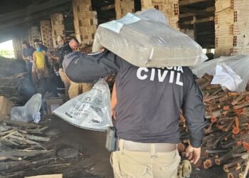 Paraíba integra operação “NARKE 5” que causou R$ 242 mi de prejuízo ao tráfico de drogas