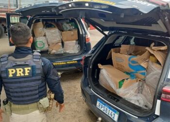 Carga de 340 kg de drogas é apreendida em caminhão com destino à Paraíba