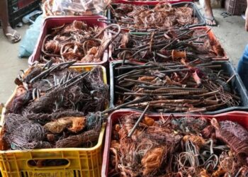 Operação apreende quase um tonelada de cobre e prende dois suspeitos na Capital