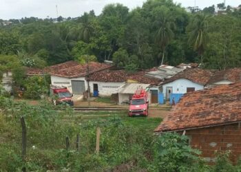 Corpo sem cabeça é encontrado no mangue entre Alto do Mateus e Bayeux