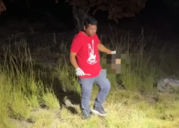 Cabeça humana é encontrada em área de mata no Alto do Mateus, em João Pessoa