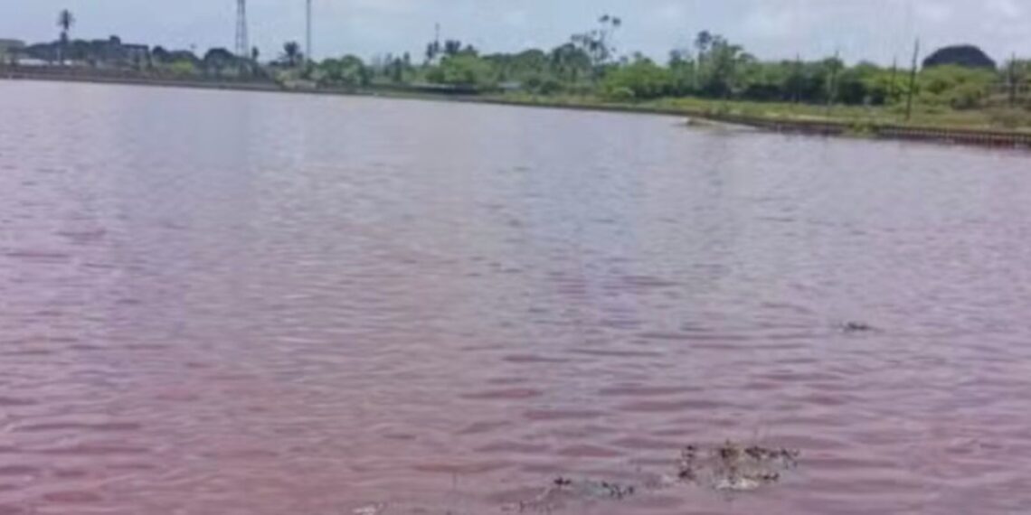 Prefeitura de João Pessoa notifica Cagepa e Sudema por suposta poluição ambiental nas Três Lagoas