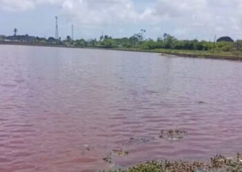 Prefeitura de João Pessoa notifica Cagepa e Sudema por suposta poluição ambiental nas Três Lagoas