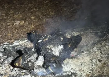 Corpo carbonizado é encontrado no bairro São José, em João Pessoa