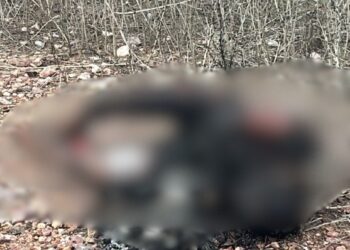 Corpo carbonizado é encontrado na zona rural de Soledade e polícia investiga o caso
