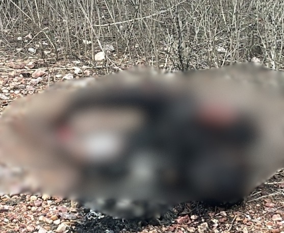 Corpo carbonizado é encontrado na zona rural de Soledade e polícia investiga o caso