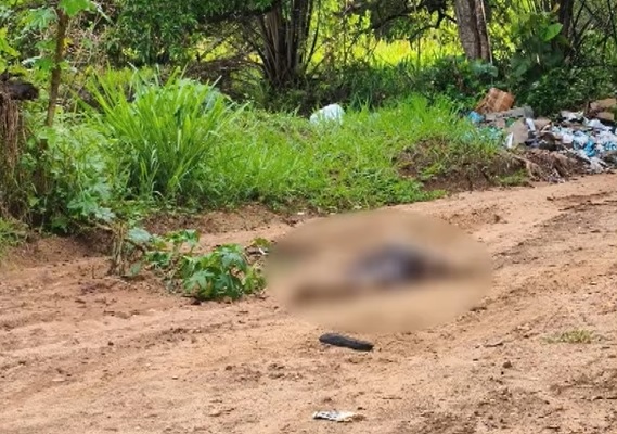 Corpo com mãos e pés amarrados é encontrado na divisa entre João Pessoa e Santa Rita