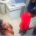 Trio finge ser cliente e assalta salão de beleza no bairro dos Bancários, em João Pessoa
