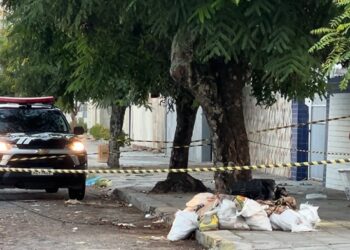 Polícia Civil identifica vítima encontrada carbonizada em mala na Capital como mulher francesa de 73 anos