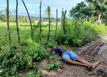Jovem é executado a tiros na estrada de Árvores Altas, na zona rural de Alhandra