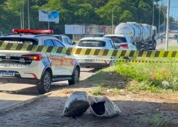 Corpo esquartejado é encontrado dentro de dois sacos embaixo do viaduto de Oitizeiro