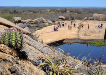 Cariri vira rota oficial de turismo e abre caminho para desenvolvimento regional