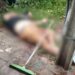Homem é morto a tiros na saída do bairro Bela Vista, em Uiraúna, no Sertão da Paraíba